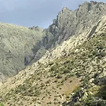 Artesano Ii *