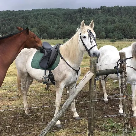 Artesano Ii Prázdninový dům Navarredonda de Gredos