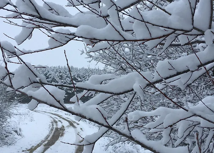 Artesano Ii Feriehus Navarredonda de Gredos