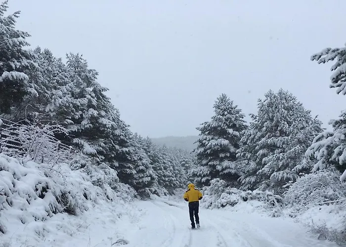 Artesano Ii Feriehus *