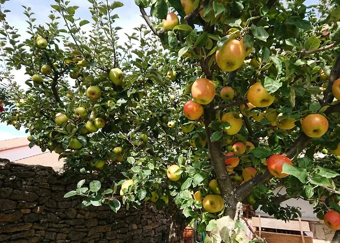 Artesano Ii * Navarredonda de Gredos